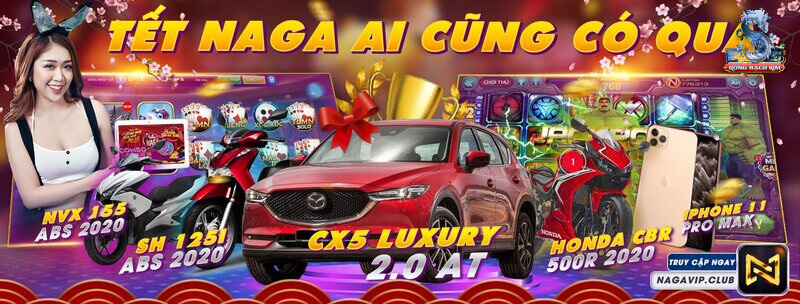 Các trường hợp khiến tài khoản Naga vip bị khóa