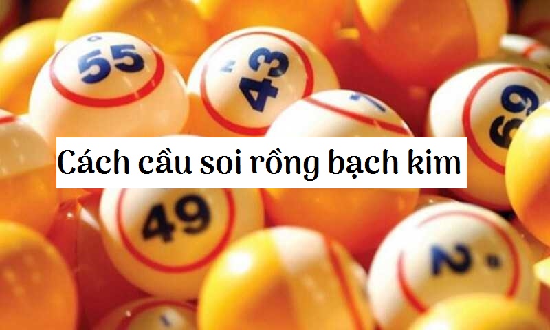 Hướng dẫn cầu soi phương pháp rồng bạch kim hiệu quả