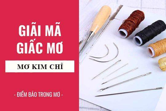 Giải mã giấc mơ thấy kim chỉ