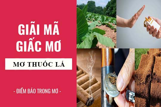 Giải mã giấc mơ thấy thuốc lào