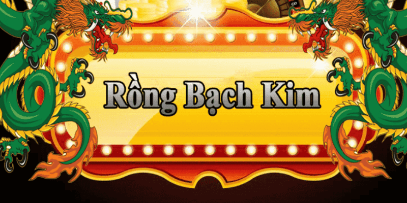 Ưu điểm của Rồng Bạch Kim 555 