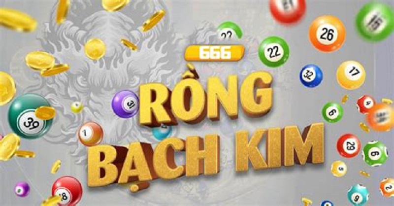 Tìm hiểu đôi nét về rồng bạch kim 666 là gì?