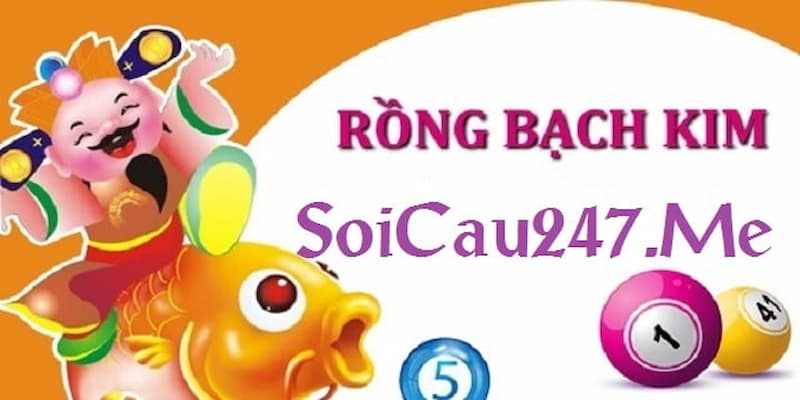 Thông tin sơ lược về soi cầu rồng bạch kim 247 