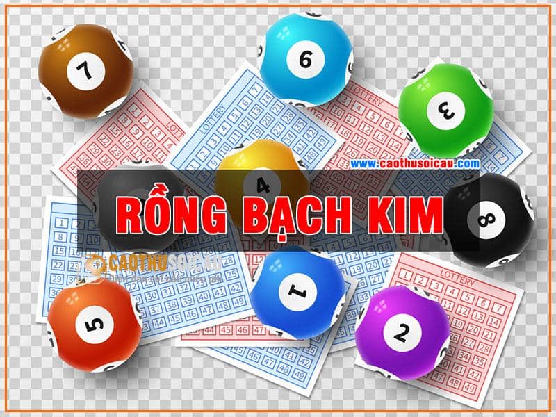 Cách soi cầu rồng bạch kim vip miễn phí chính xác cho người chơi