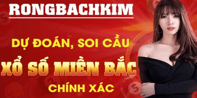 Kỹ thuật soi rồng bạch kim 247 bằng nuôi khung 