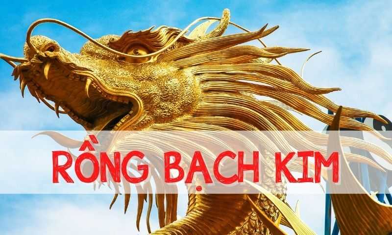 Bật mí kinh nghiệm soi rồng bạch kim lô đề chuẩn